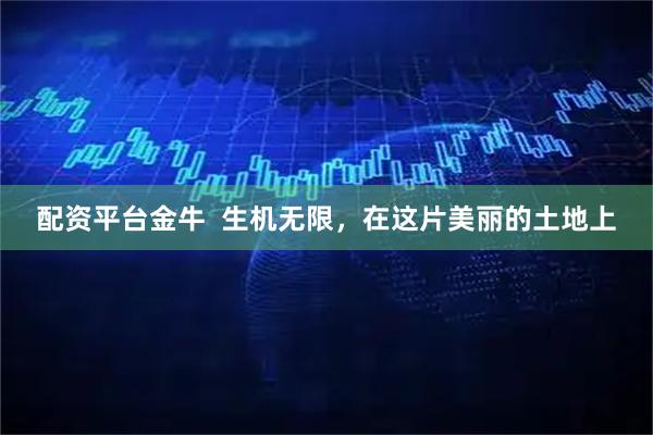 配资平台金牛  生机无限，在这片美丽的土地上