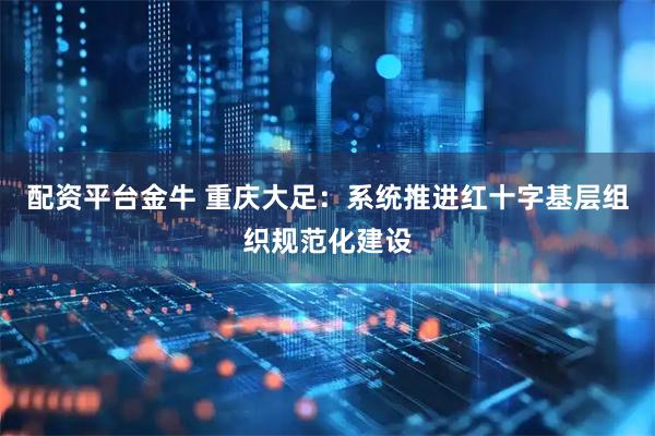 配资平台金牛 重庆大足：系统推进红十字基层组织规范化建设