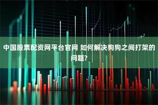 中国股票配资网平台官网 如何解决狗狗之间打架的问题?