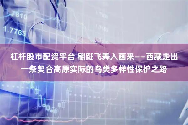 杠杆股市配资平台 翩跹飞舞入画来——西藏走出一条契合高原实际的鸟类多样性保护之路
